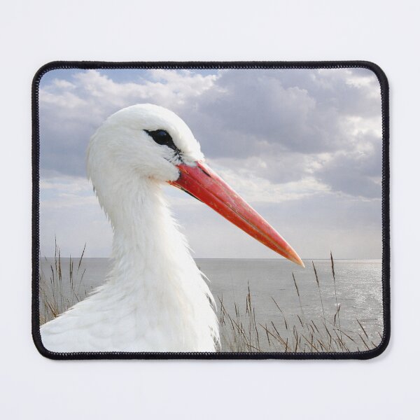 Item preview, White Ibis by the Sea – Coastal Wildlife Bird Photography designed and sold by chihuahuashower.