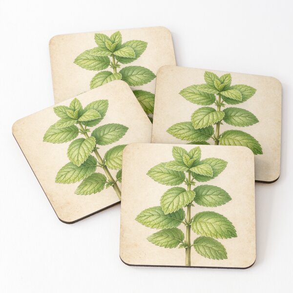 Item preview, Vintage Mint Botanical Print - Mentha Herb Antique Illustration designed and sold by Darlin8888.