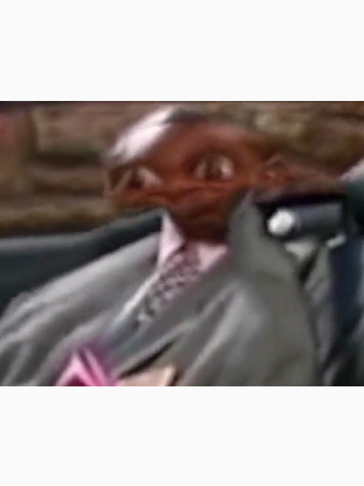 "WOULD YOU LIKE AMMM OR FMMMM? Mr. Moesby Content Aware Scale" Pullover