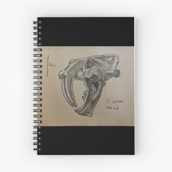 Item preview, -Classic- S. populator - scientific illustration  designed and sold by Paleo Griff.