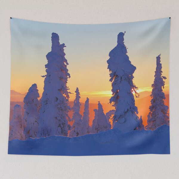 Item preview, Sunset, Winter, Snow, Black Spruce, Alaska designed and sold by AlaskaExtreme.