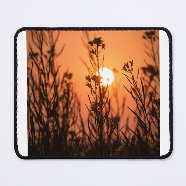 Item preview, Flower Silhouette Sunset Photographic Print designed and sold by Mother-Nature65.