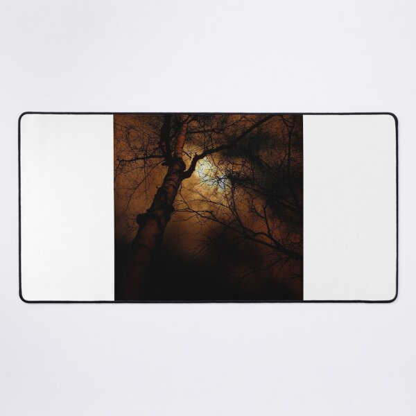 Item preview, Sunset Behind Silhouetted Trees Photographic Print designed and sold by Mother-Nature65.