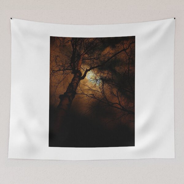 Item preview, Sunset Behind Silhouetted Trees Photographic Print designed and sold by Mother-Nature65.