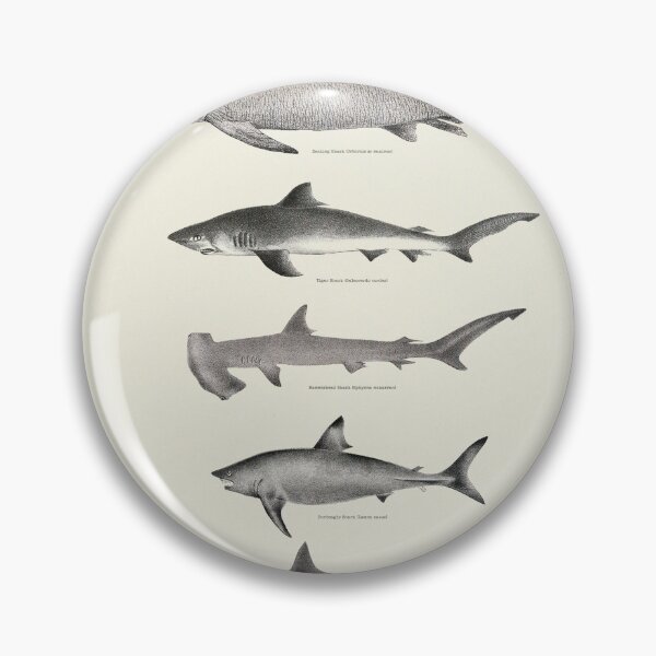 Item preview, Vintage antique Sharks fish species poster art pinup designed and sold by Vintage Designs +.