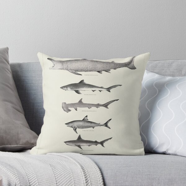 Item preview, Vintage antique Sharks fish species poster art pinup designed and sold by Vintage Designs +.
