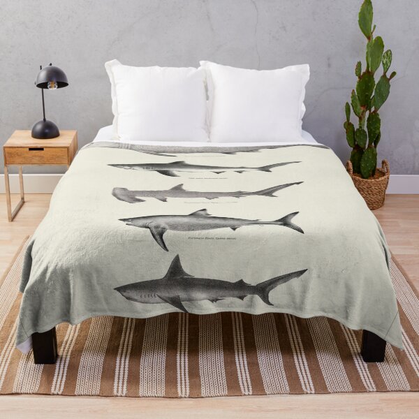 Item preview, Vintage antique Sharks fish species poster art pinup designed and sold by Vintage Designs +.