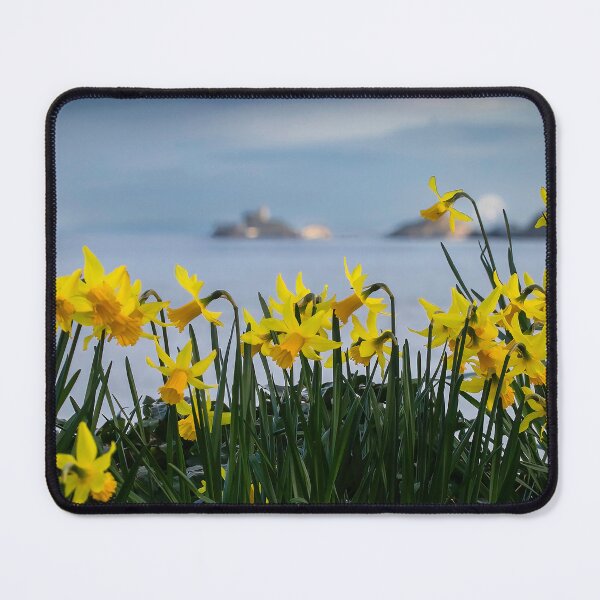 Item preview, Daffodils in South Wales designed and sold by Leighton Collins.