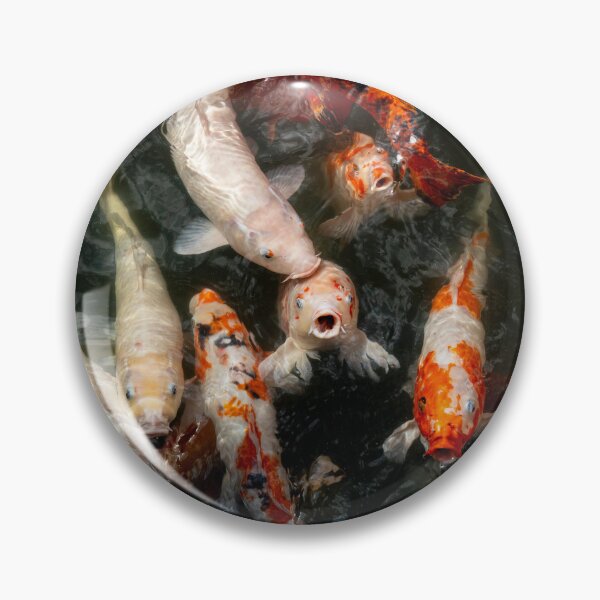 Artikelvorschau, Hue Goldfisch entworfen und verkauft von Dave Hare Photography.