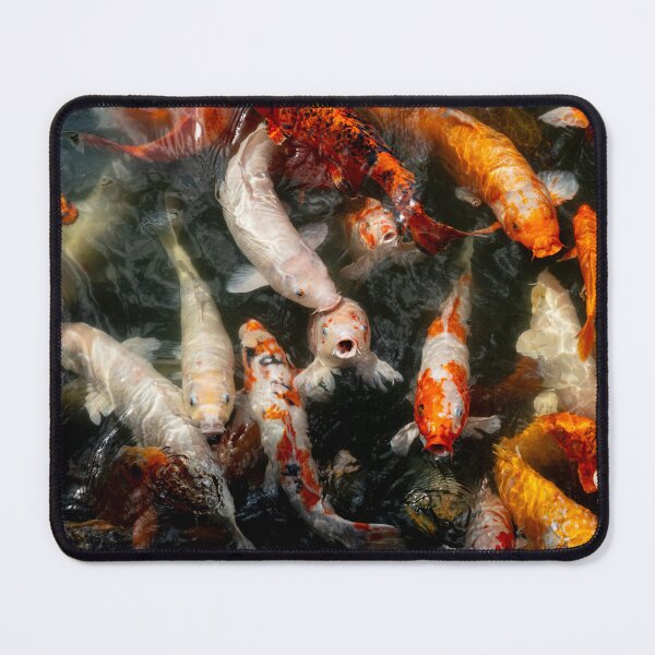 Item preview, Hue goldfish designed and sold by Dave Hare Photography.