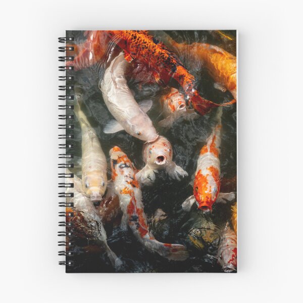Item preview, Hue goldfish designed and sold by Dave Hare Photography.
