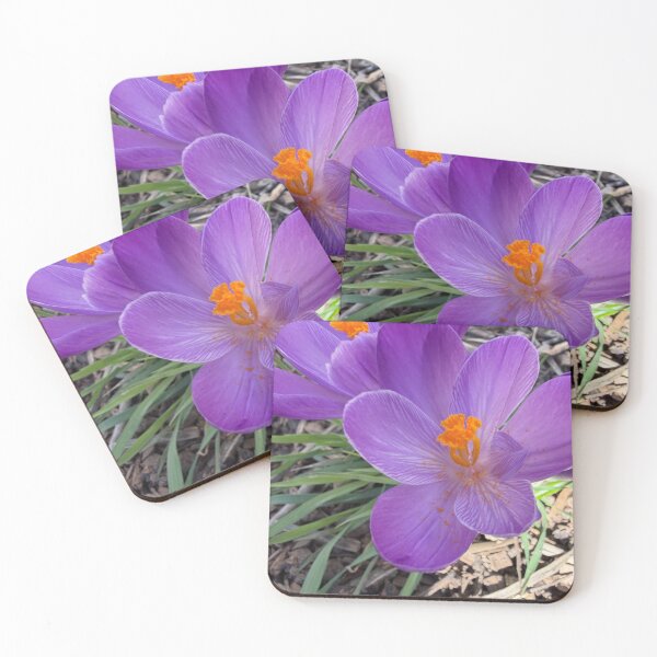 Item preview, Magia del azafrán designed and sold by Betsy Phillips.