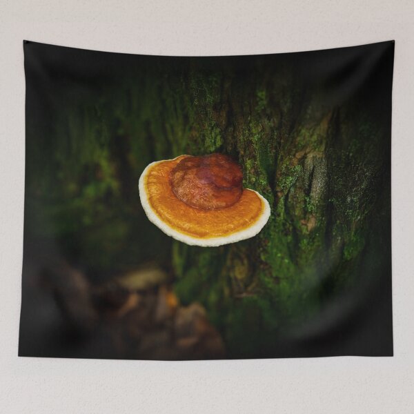 Item preview, Reishi Mushroom on Mossy Tree designed and sold by kngfrank.