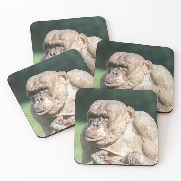 Item preview, The Famous Jambo designed and sold by rawshutterbug.