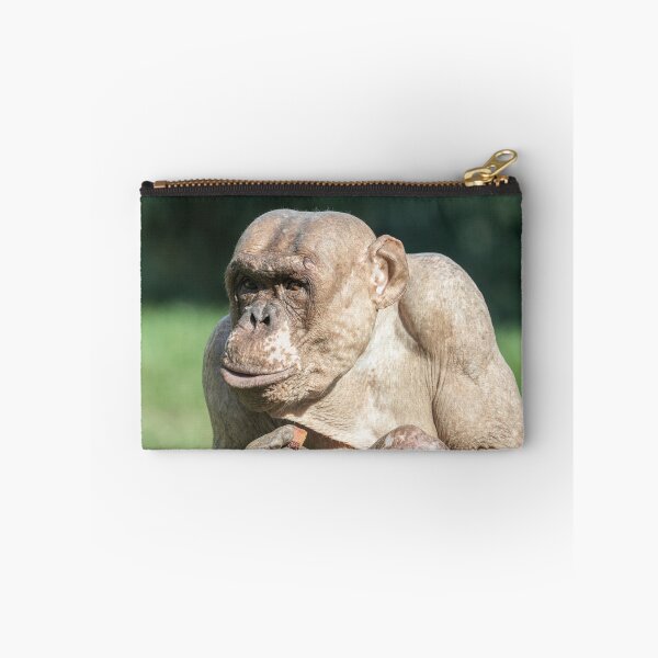 Item preview, The Famous Jambo designed and sold by rawshutterbug.