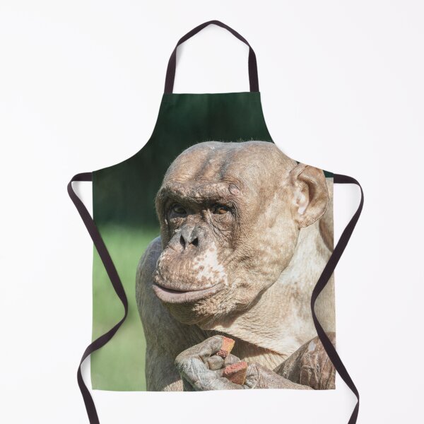 Item preview, The Famous Jambo designed and sold by rawshutterbug.