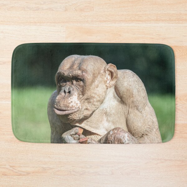 Item preview, The Famous Jambo designed and sold by rawshutterbug.
