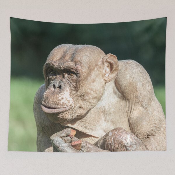 Item preview, The Famous Jambo designed and sold by rawshutterbug.
