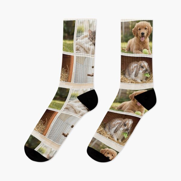 Item preview, Cute Pet Squad: Golden Retriever, Tabby Cat, Bunny & Budgie Collage designed and sold by SolenyaStudio.