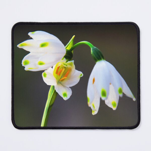 Item preview, Summer Snowflake designed and sold by JEZ22.