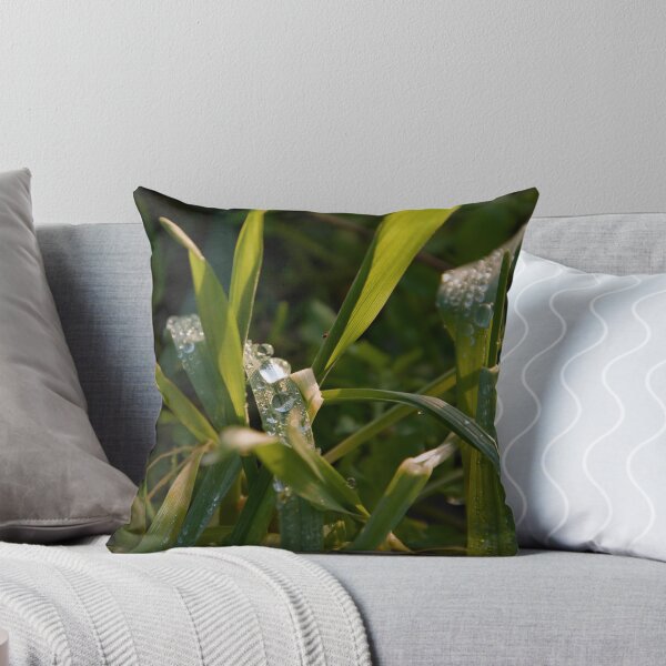 Item preview, Morning Dew on Sunlit Grass Macro designed and sold by ShotsbyDesiree.