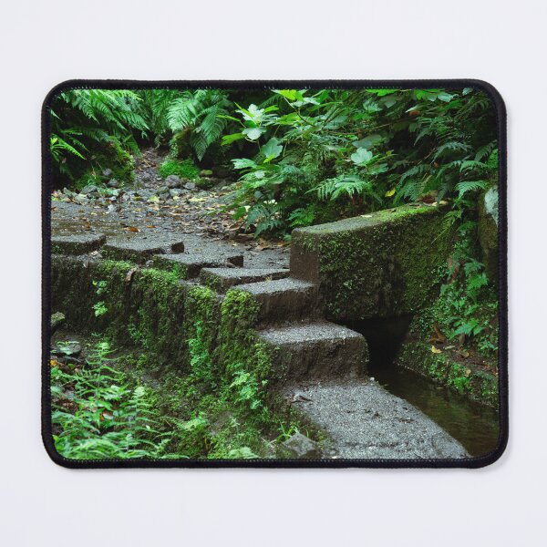 Item preview, Whispers of the Ancient Forest: Moss-Covered Steps into the Wild designed and sold by Vision By Luca Spoo.