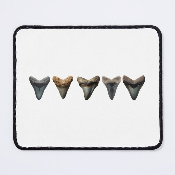 Item preview, shark teeth, shark tooth, tooth hunters, shark teeth hunting, ocean life designed and sold by CCKimShop.