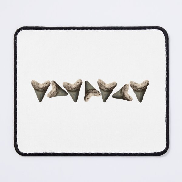 Item preview, shark teeth, shark tooth, tooth hunters, shark teeth hunting, ocean life designed and sold by CCKimShop.