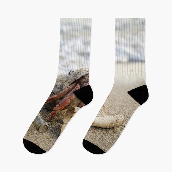 Item preview, Crab Reading a Letter on a Beach designed and sold by Maria Dryfhout.