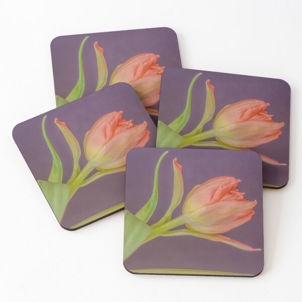 Item preview, The Diva at Rest designed and sold by Kasia Design.