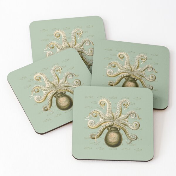Item preview, Octopus  – Haeckel Vintage Science Art - Sage Green for Spring 26 designed and sold by FUNKARIUM.