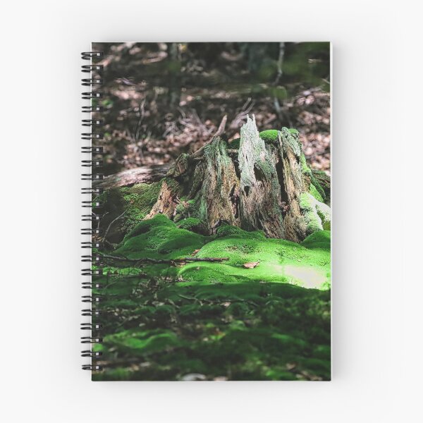 Item preview, A mossy, rotting tree stump in the forest in the sunlight. designed and sold by NaturePhotography.