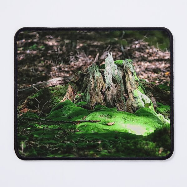 Item preview, A mossy, rotting tree stump in the forest in the sunlight. designed and sold by NaturePhotography.