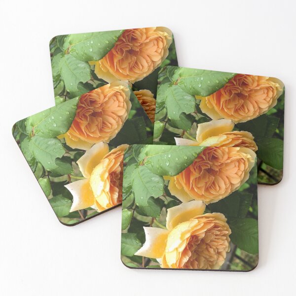 Item preview, roses with dew drops photograph designed and sold by GiSilver.