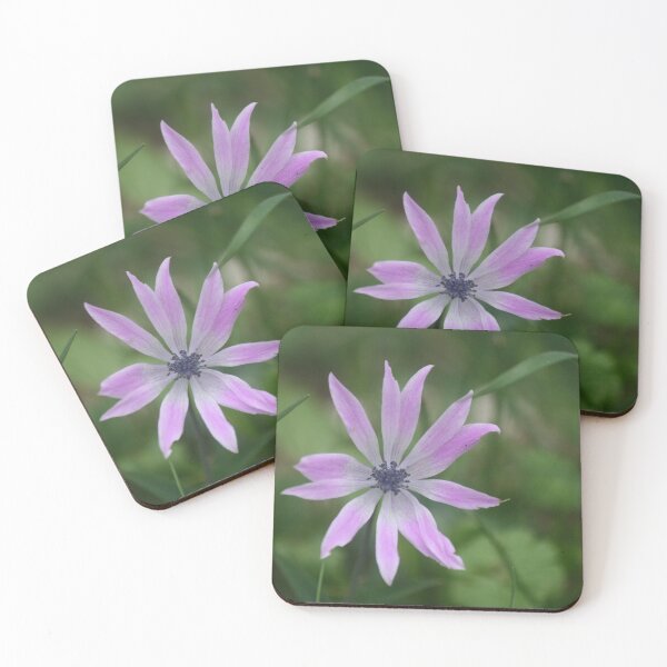 Item preview, Anemone hortensis designed and sold by asiafrasca.