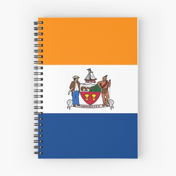 Item preview, Albany Flag - New York State Capital & Dutch Heritage Pride designed and sold by NTGUILTY.