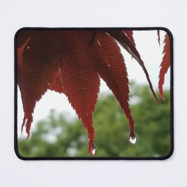 Item preview, Red maple leaf photograph designed and sold by GiSilver.