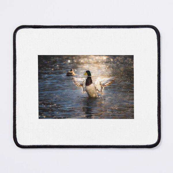 Item preview, Radiant Duck designed and sold by Tammigrafie.