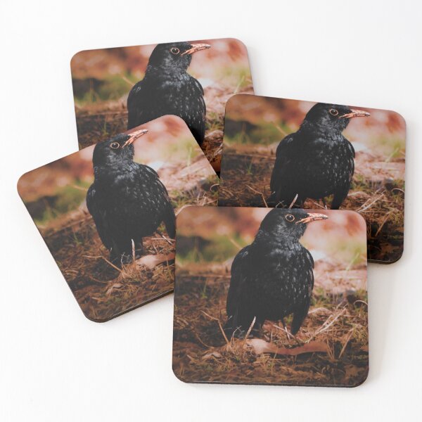 Item preview, Birdie designed and sold by Tammigrafie.