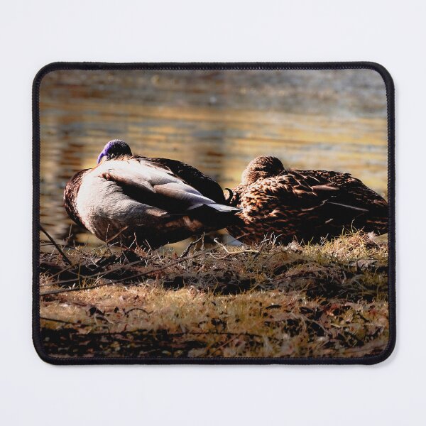 Item preview, Sleeping Ducks designed and sold by Tammigrafie.