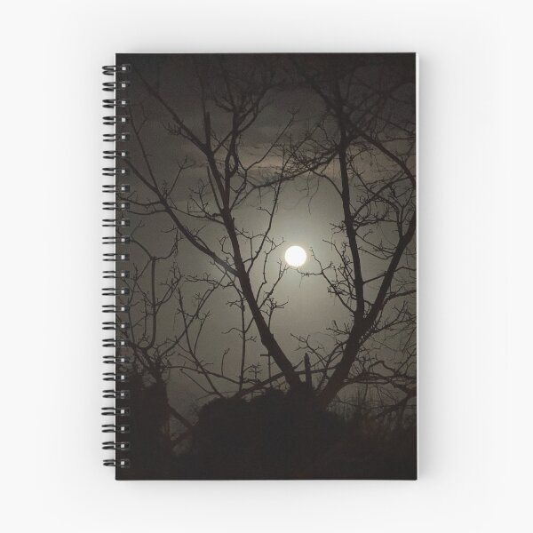 Artikelvorschau, Vollmond hinter den Silhouetten der Bäume entworfen und verkauft von Jasbindar Singh.