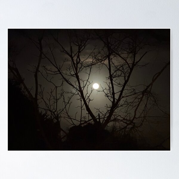 Item preview, Full Moon Behind Silhouetted Trees designed and sold by Jasbindar Singh.