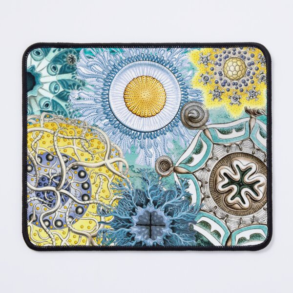 Item preview, Haeckel Vintage Science Art Collage designed and sold by FUNKARIUM.