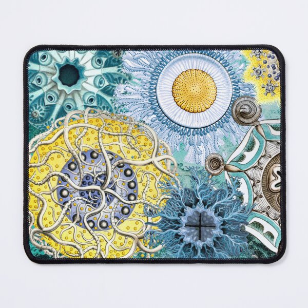 Item preview, Haeckel Vintage Science Art Collage - Sage Green for Spring 26 designed and sold by FUNKARIUM.