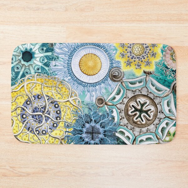 Item preview, Haeckel Vintage Science Art Collage - Sage Green for Spring 26 designed and sold by FUNKARIUM.