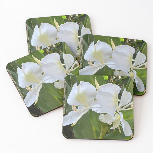 Item preview, Elegant White Ginger Lily  designed and sold by Jasbindar Singh.