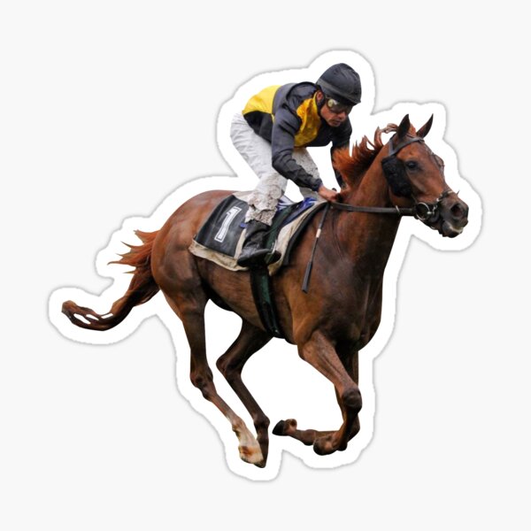 Aperçu de l'œuvre course de chevaux jockey créée et vendue par RossDillon.