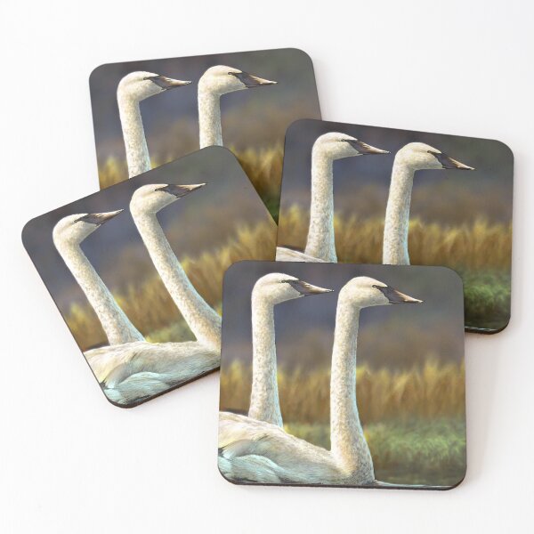 Item preview, Trumpeter Swans designed and sold by fishinjonny.