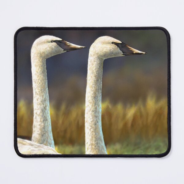 Item preview, Trumpeter Swans designed and sold by fishinjonny.