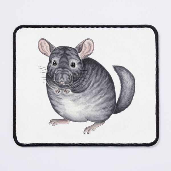 Item preview, Black Chinchilla designed and sold by WolfySilver.